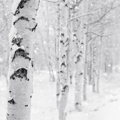 Sleigh Ride (Woodland Snow)